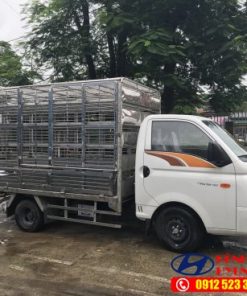 hyundai h150 cho ga vit kenhxehyundai